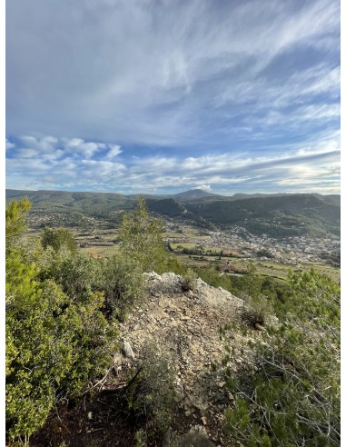 Pique-nique dans les vignes