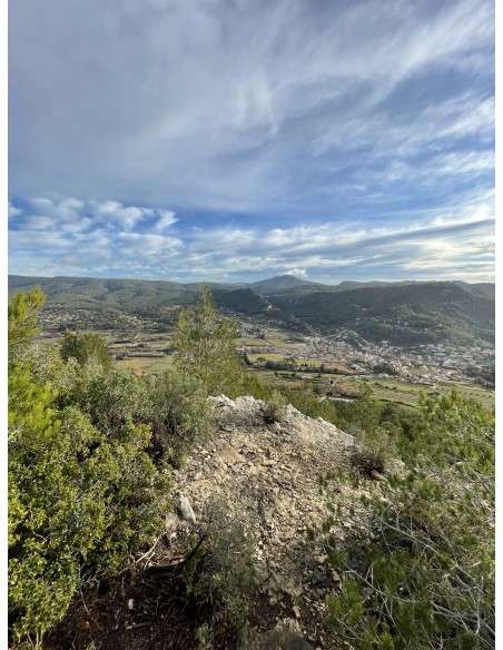 Pique-nique dans les vignes