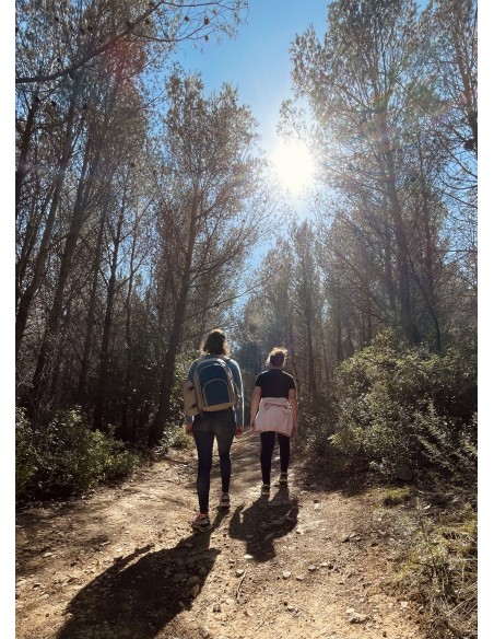 Pique-nique dans les vignes