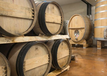 Visite de cave des vins de...