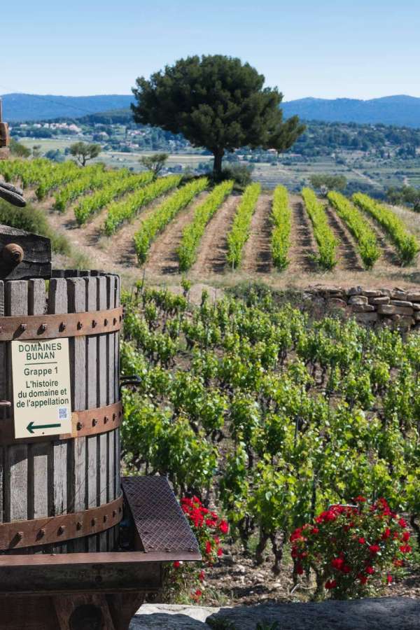 Domaines Bunan à Bandol